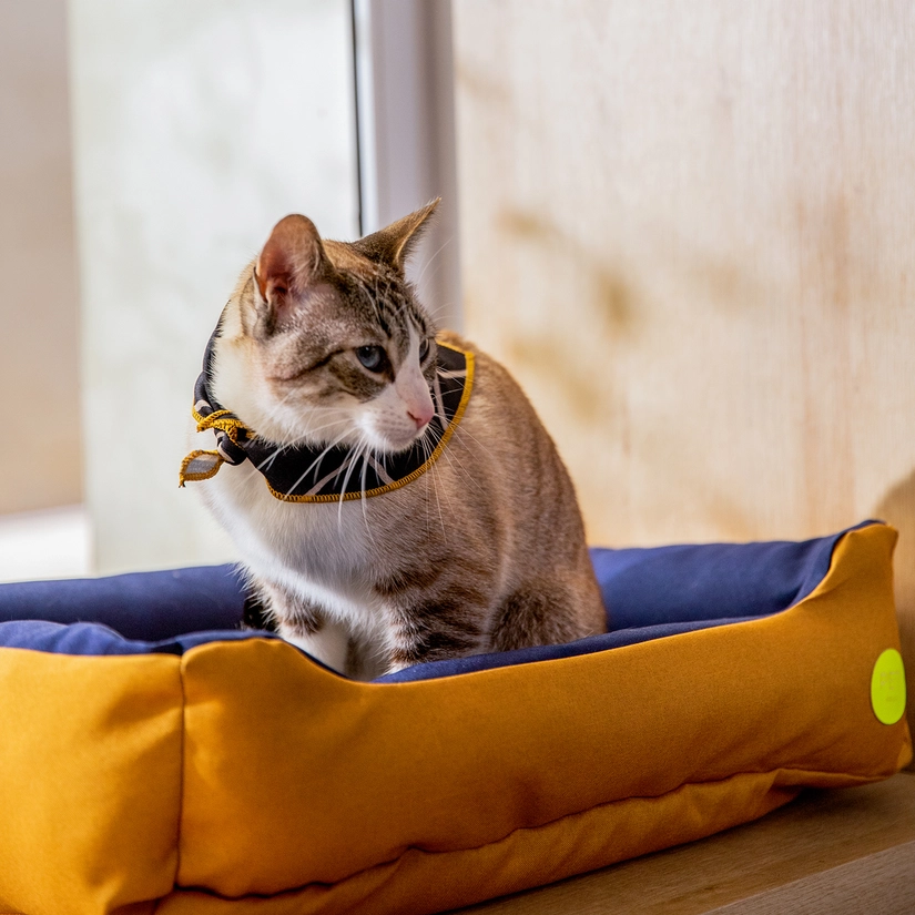 Cama Pet Duo Paçoca