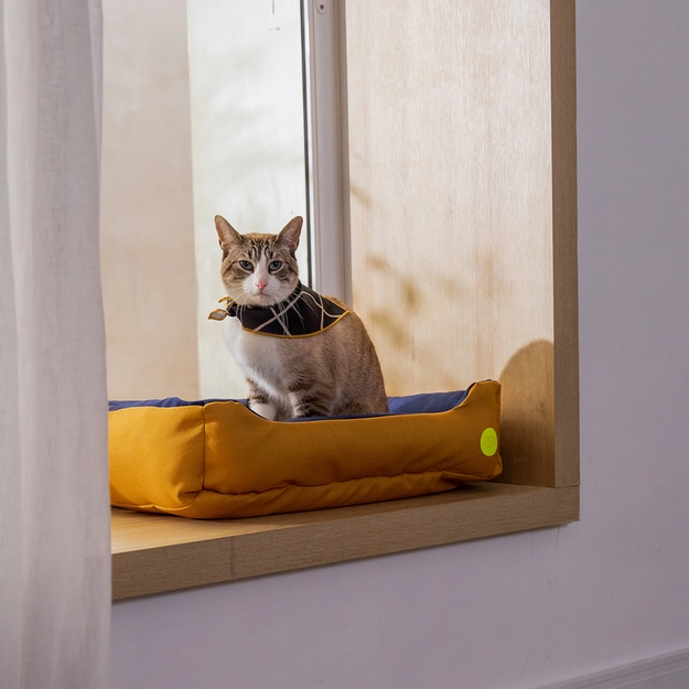 Cama Pet Duo Paçoca