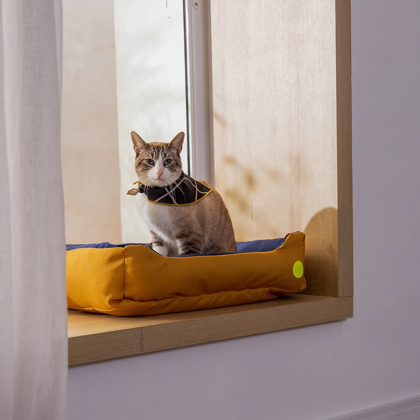 Cama Pet Duo Paçoca