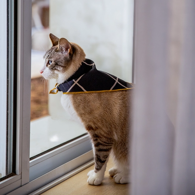 Bandana Pet Boris