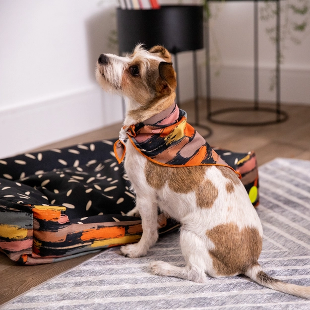 Bandana Pet Frida