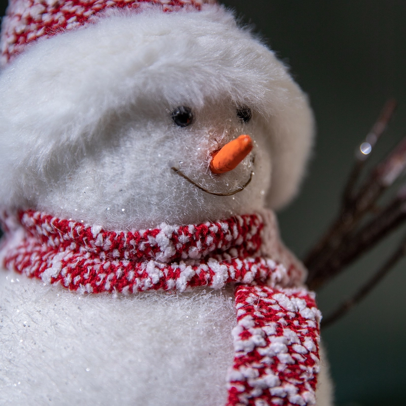 Boneco de Neve North