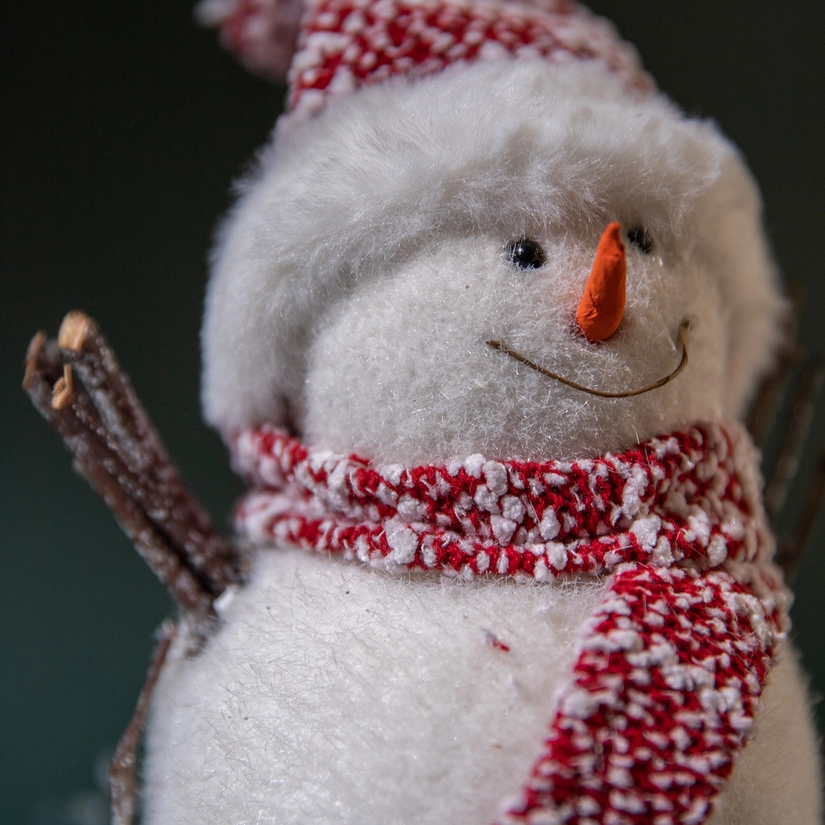 Boneco de Neve North