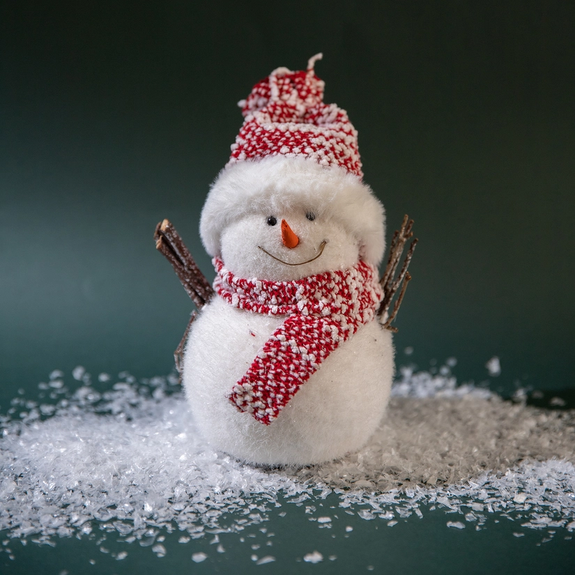 Boneco de Neve North