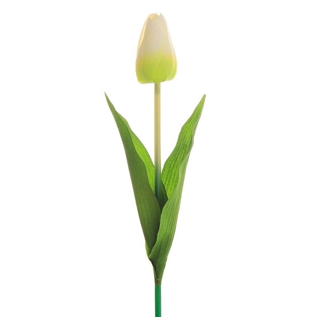 Tulipa Artificial Acetinada Marfim