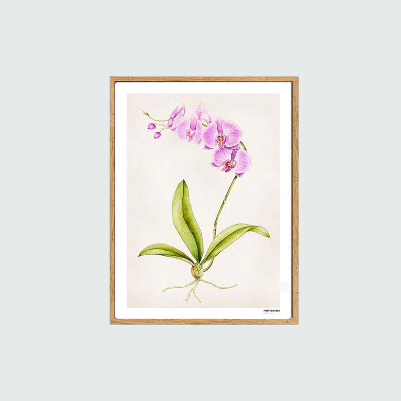 Quadro Decorativo com Moldura e Vidro Orchid